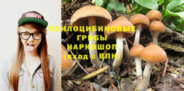 каннабис Каменка
