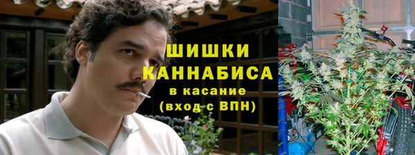 ALPHA PVP Каменногорск