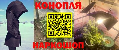 спиды Кинель