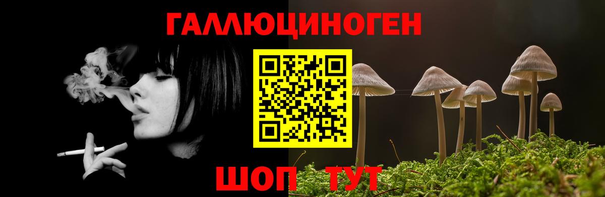Урус-Мартан  Псилоцибиновые грибы Magic Shrooms  Вход с VPN 